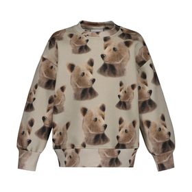 Oversize-collegepaita Bear, Green