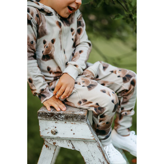 Collegehaalari Bear, Green