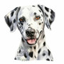 Värillinen Silityskuva: Dalmatialainen pieni tai iso