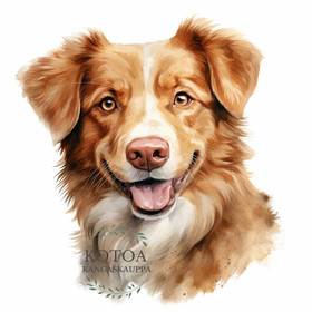 Värillinen Silityskuva: Novascotiannoutaja, pieni tai iso