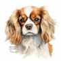 Värillinen Silityskuva: Kingcharlesinspanieli, pieni tai iso