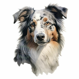 Värillinen Silityskuva: Australianpaimenkoira, pieni tai iso