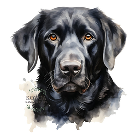 Värillinen Silityskuva: Labradorinnoutaja musta, pieni tai iso