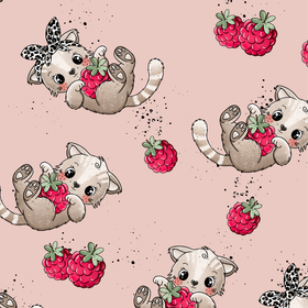 Trikoo: Vadelmakisut 