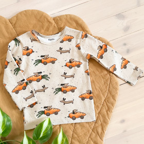 Trikoo: Koirat matkalla