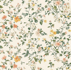 Ribbitrikoo: Pikkukukat