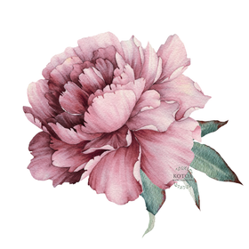 Värillinen Silityskuva: Mauve Pioni pieni