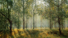 Heilurikysymyksiä, 8 kappaletta (eli 8 kysymystä/teemaa)