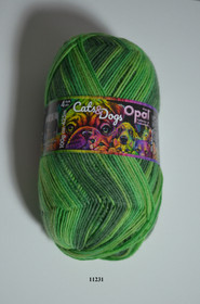 Opal Cats & Dogs