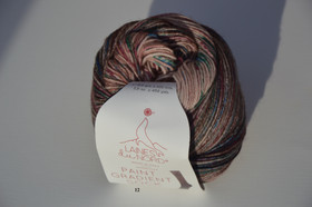 Laines du Nord Paint Gradient Sock