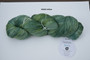 KnitPro Symfonie Terra