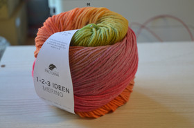 Pro Lana 1-2-3 Ideen Merino