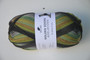 Pro Lana Adelboden 6-ply