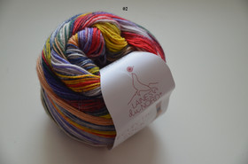 Laines du Nord Ecletic Sock