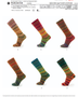 Katia Concept Symmetric Socks&More Paradise