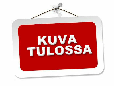 Keskikiinnike Trapeo aurinkopaneelin kiinnitykseen