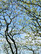 Hop-on micro-cruise to Arboretum