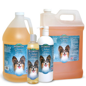 Bio-Groom Protein Lanolin - kookosöljypohjainen ravitseva proteiinishampoo 