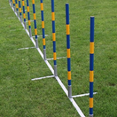 Professional agility pujottelukepit 12 kpl