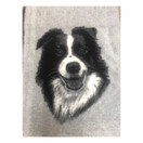 Vet Bed Xtra soft Border Collie non slip