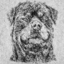 Vet Bed non slip silhuet Rottweiler