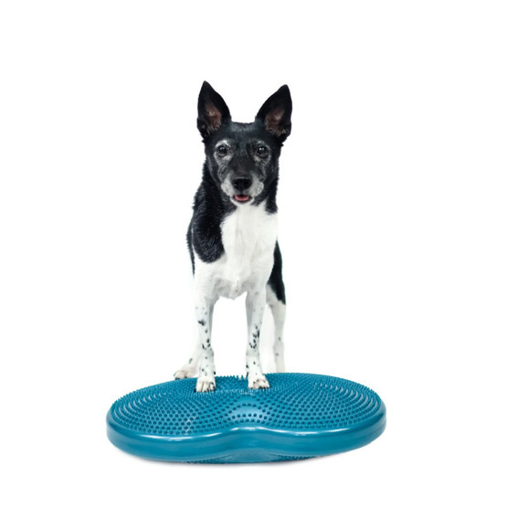 FitPaws Duo Disc tasapainoalusta n. 60x33x7cm