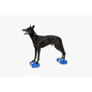 FitPaws k9 fitbone mini, koiran tasapainoalusta 2kpl 29,2x16,5x6,3 cm