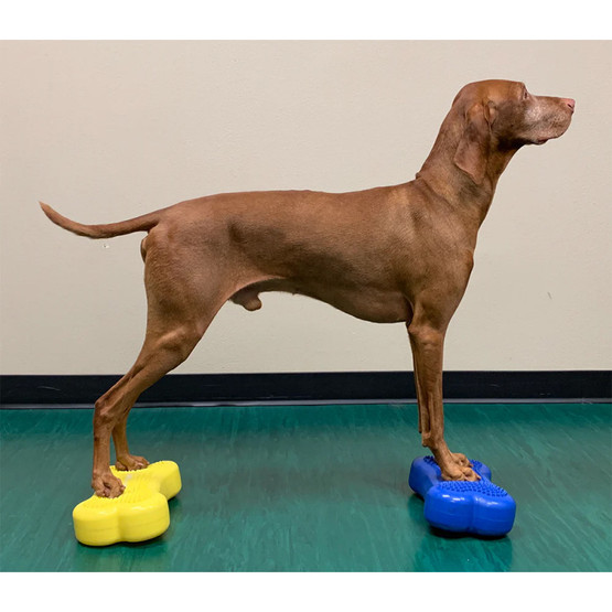 FitPaws k9 fitbone mini, koiran tasapainoalusta 2kpl 29,2x16,5x6,3 cm