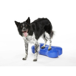 Fitpaws K9fitbone koiran tasapainoalusta turkoosi 58 x 29 x 10cm