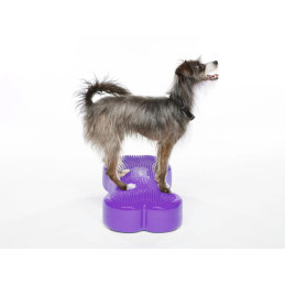 Fitpaws K9fitbone koiran tasapainoalusta turkoosi 58 x 29 x 10cm