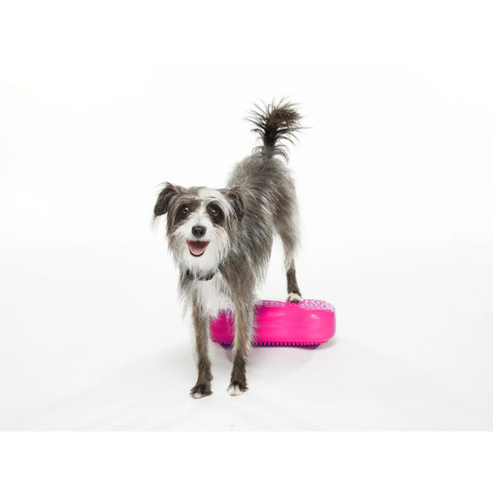 FitPaws k9 fitbone mini, koiran tasapainoalusta 2kpl 29,2x16,5x6,3 cm