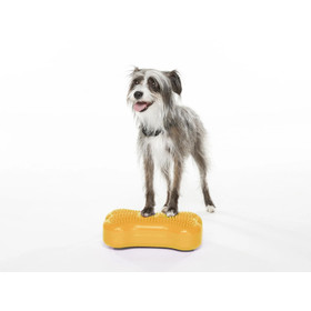 FitPaws k9 fitbone mini, koiran tasapainoalusta 2kpl 29,2x16,5x6,3 cm