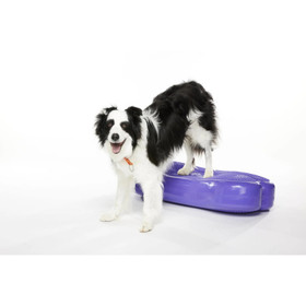FitPAWS K9FITbone XL tasapainoalusta 90x39x14cm