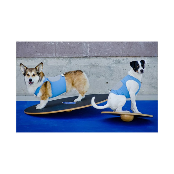 FitPAWS koiran tasapainolauta Ø 50 cm