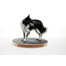 FitPAWS koiran tasapainolauta Ø 50 cm