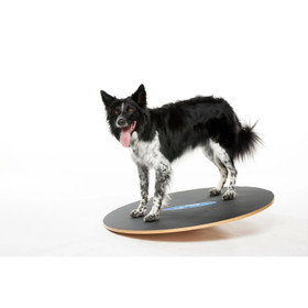 FitPAWS koiran tasapainolauta Ø 50 cm