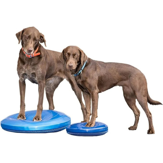 FitPAWS koiran tasapainolevy ø 36 cm