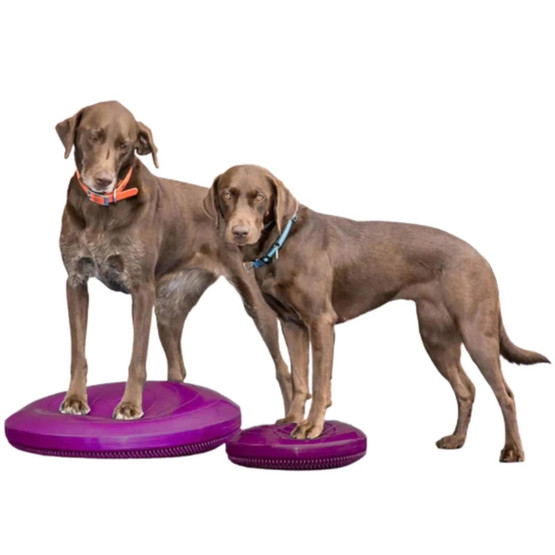 FitPAWS koiran tasapainolevy ø 56 cm