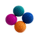 FitPAWS Paw Pods koiran tasapainopuolipallot 4 kpl