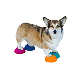 FitPAWS Paw Pods koiran tasapainopuolipallot 4 kpl