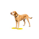 FitPAWS Targets koiran harjoittelualustat 4 kpl