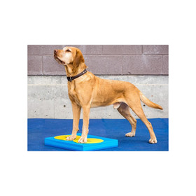 FitPAWS Targets koiran harjoittelualustat 4 kpl