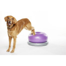 FitPAWS Trax koiran tasapainoalusta donitsi, violetti  Ø 48 cm