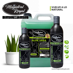 Magistral Royal Aloe Vera shampoo
