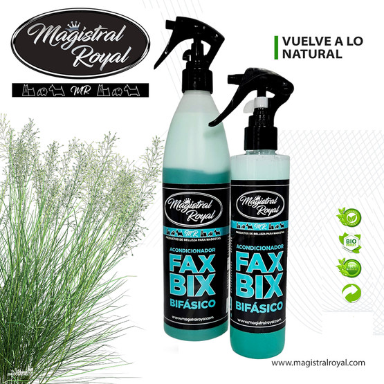 Magistral Royal FabBix hoito-ja selvitysaine