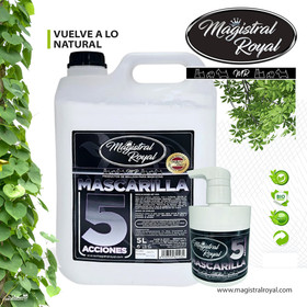 Magistral Royal Mascarilla 5 Actions -korjaava naamio