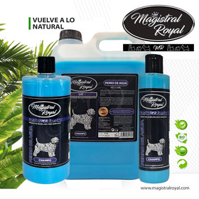 Magistral Royal Perro de Aqua shampoo