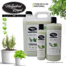 Magistral Royal Rosmariini-minttuhoitoaine