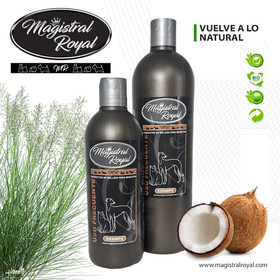 Magistral Royal - tiivistetty kookosshampoo usein toistuvaan pesuun