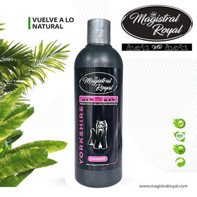 Magistral Royal Yorkshire shampoo